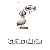 a cartoon of a seagull with a speech bubble saying moin