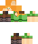 a pixel art of a minecraft character with a green shirt .