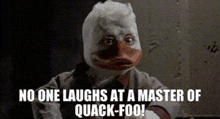 a picture of a duck with a caption that says no one laughs at a master of quack-foo !