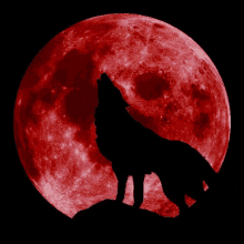 a silhouette of a wolf howling at a red full moon