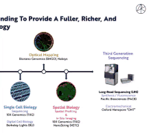 a timeline showing optical mapping and third generation sequencing