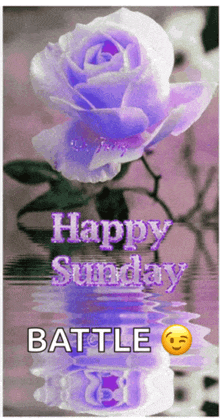 a picture of a purple rose with the words happy sunday battle