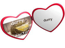 a heart shaped mirror with a picture of a durian and the word durry on it