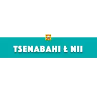 a blue banner that says ' tsenabadi & niu ' on it