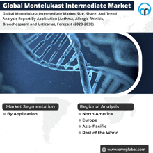 a poster that says global montelukast intermediate market on it