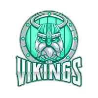 a logo for the vikings shows a viking wearing a helmet and shield