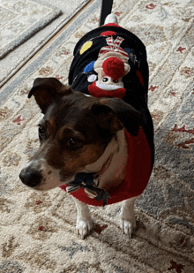 a small dog wearing a christmas sweater with an monkey on the back