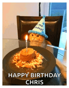 a cat wearing a party hat is looking at a birthday cake with a candle