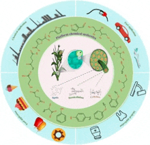 a diagram of chemical molecules and a plant