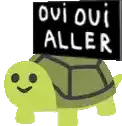 a cartoon turtle is holding a sign that says `` oui oui aller '' .