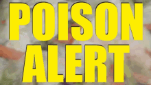 a yellow sign that says poison alert