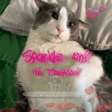 a cat is laying on a bed with the words sparkle on it 's thursday written on it