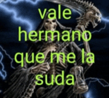 a picture of a grim reaper with the words vale hermano que me la suda on it