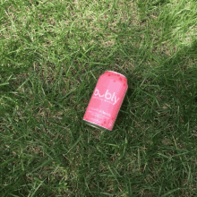 a can of bubly grapefruit bubbly is laying on the grass