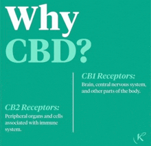 a poster explaining why cbd is beneficial to the brain and other parts of the body