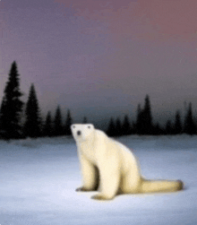 a polar bear is sitting in a snowy field