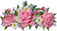 a bunch of pink roses and daisies with purple flowers