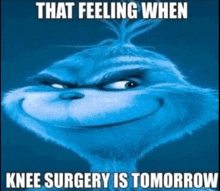 a picture of a grinch with a caption that says that feeling when knee surgery is tomorrow