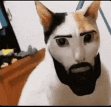 a cat with a beard and eyebrows is looking at the camera .