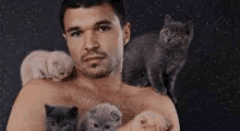 a shirtless man is holding three kittens in his arms .