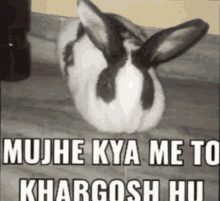 a black and white rabbit with the words mujh kya me to khargosh hu