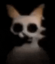 a close up of a cat 's face with a skull in the background .