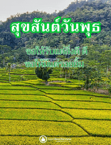 a picture of a lush green field with the words " siam best review " on it