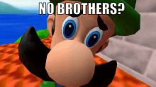 a video game character with a green hat and mustache says no brothers