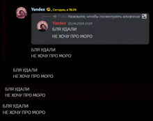 a screenshot of a conversation between a person named yandex and another person named flake