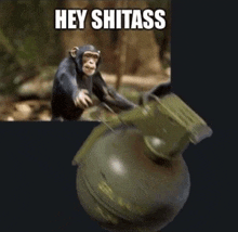 a picture of a monkey next to a grenade that says hey shit ass