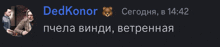 a black background with a picture of a bear and the name dedkonor