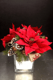 a vase filled with red flowers pine cones and red berries