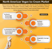 an advertisement for north american vegan ice cream