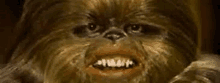 a close up of a chewbacca from star wars with a very angry face .