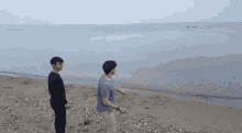 two men are standing on a beach looking out over the ocean .