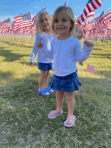 two little girls standing in a field with american flags