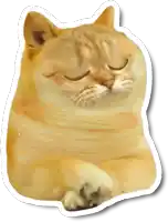 a sticker of a cat with its eyes closed and its paws crossed