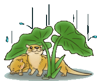 a cartoon drawing of two otters under a leaf