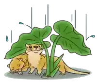 a cartoon drawing of two otters under a leaf