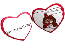 a heart shaped mirror that says bro my balls itch on the front