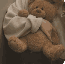 a person is holding a brown teddy bear in their hands .