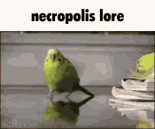 a green parakeet is walking on a glass surface with the words necropolis lore written above it