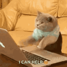 a cat is sitting in front of a laptop computer and says i can help .