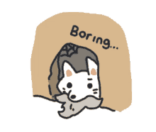 a drawing of a cat with a beard and the words " boring " below it