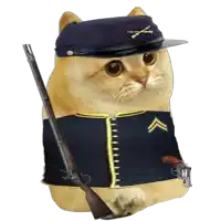 a cat wearing a military uniform has a gun and a hat