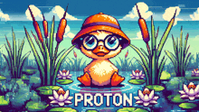 a pixel art illustration of a duck wearing glasses and a hat with the word proton written below it