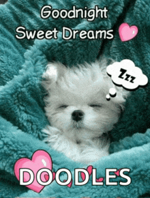 a small white dog sleeping under a blue blanket with the words goodnight sweet dreams doodles