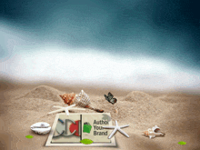 a beach scene with seashells and the words author your brand