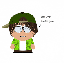 a cartoon character with braces and a green shirt says erm what the flip guys