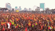 a large crowd of people are waving flags in front of a city skyline and a sign that says omn